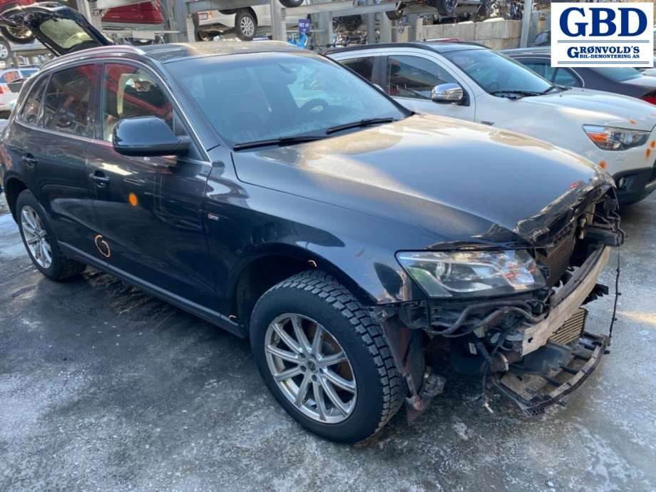 Audi Q5, 2008-2012 (Type I, Fase 1) ( TRW-GIRLING|8K0 615 123 J|8K0 615 123 D)