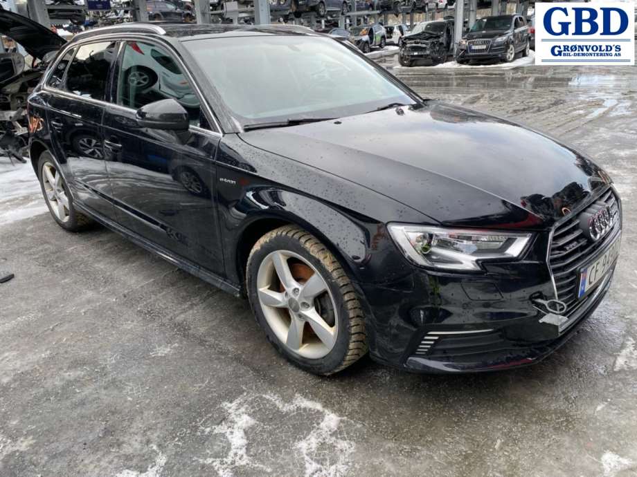 Audi A3, 2016-2020 (Type III, Fase 2) (8V1 857 409 AA)