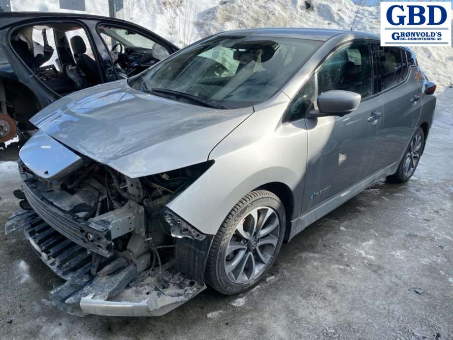 Nissan Leaf, 2018- (Type II) (284425SA1C|284425SA0C)