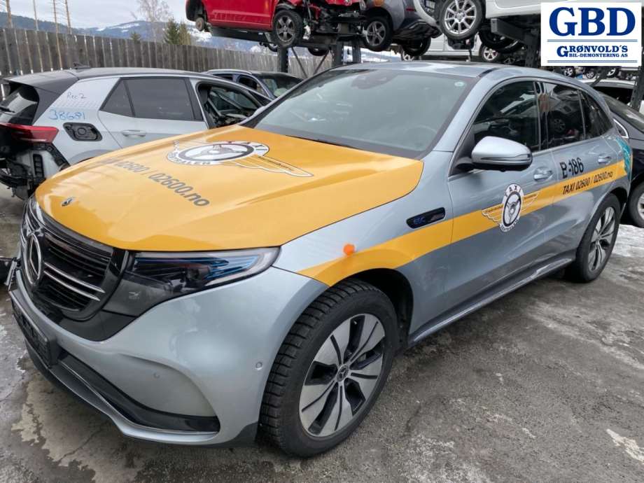 Mercedes EQC, 2019- (A 205 320 02 25)