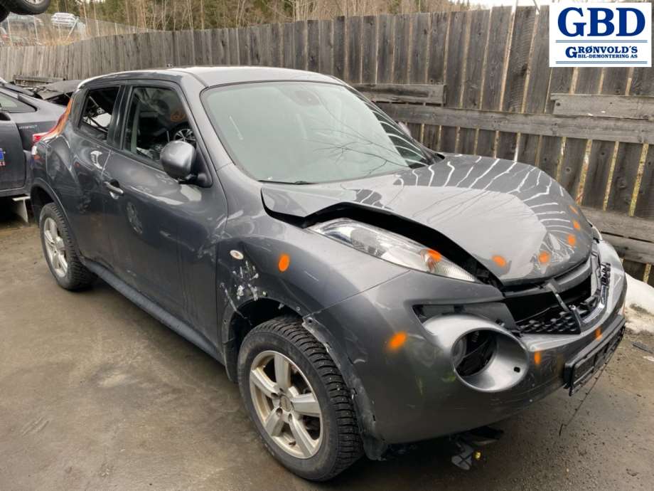 Nissan Juke, 2010-2014 (Fase 1) (41011EN00B|41011ET00A)