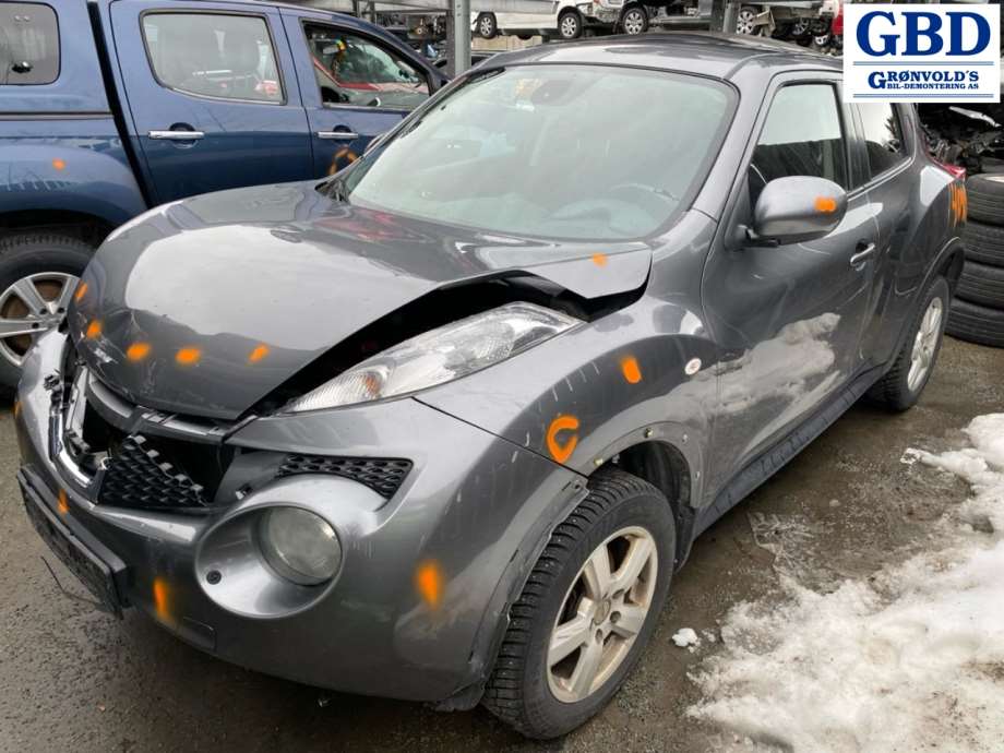 Nissan Juke, 2010-2014 (Fase 1) (41011EN00B|41011ET00A)