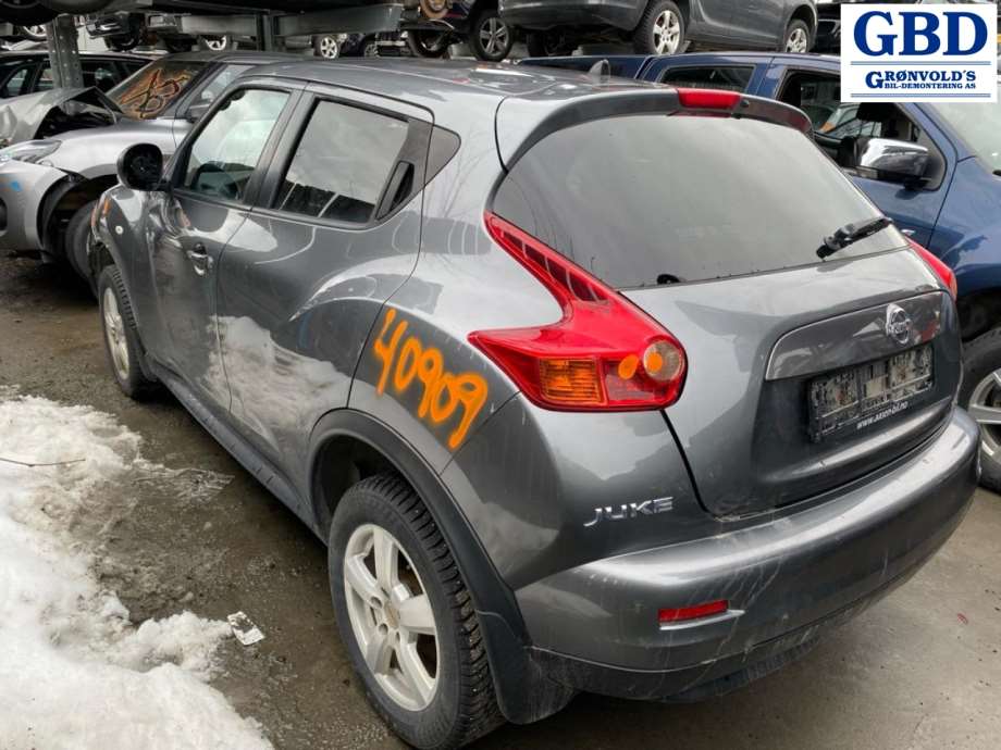 Nissan Juke, 2010-2014 (Fase 1) (41011EN00B|41011ET00A)