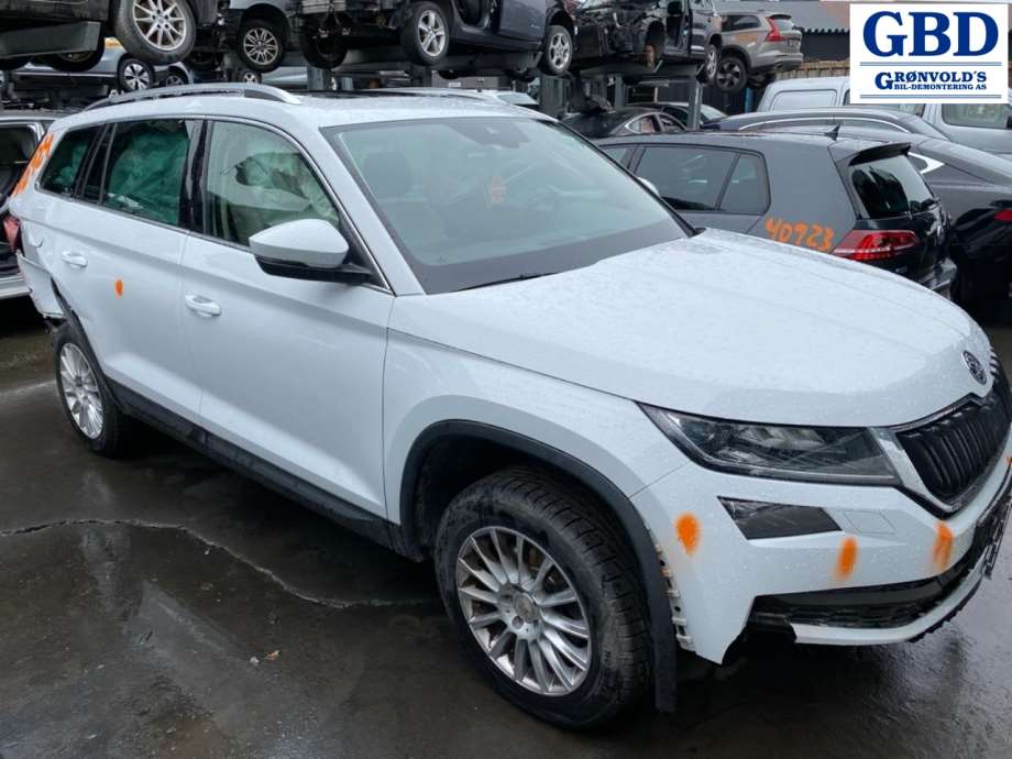 Škoda Kodiaq, 2017- (5QM 407 254|5Q0 407 254 B)