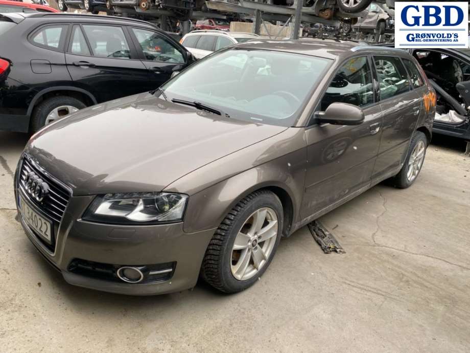 Audi A3, 2009-2012 (Type II, Fase 2) (1K0 615 124 D)