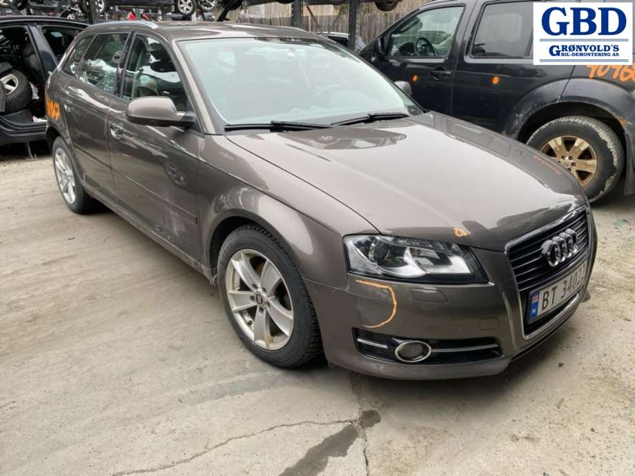 Audi A3, 2009-2012 (Type II, Fase 2) (1K0 615 124 D)