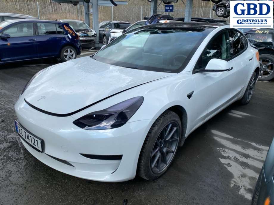 Tesla Model 3, 2018-2023 (Fase 1) (1567439-00-C)