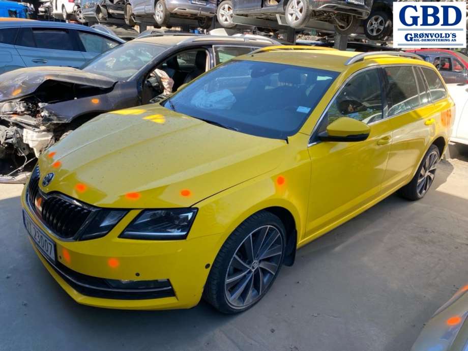 Škoda Octavia, 2017-2020 (Type III, Fase 2) (5Q0 614 517 EF|5A0614 517 EF)