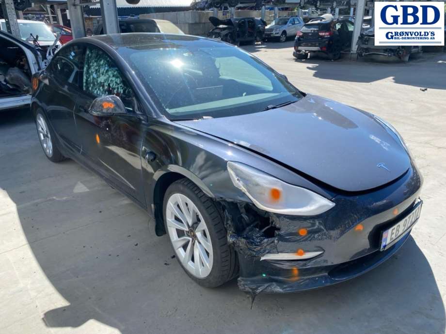 Tesla Model 3, 2018-2023 (Fase 1) (1077402-00-G)