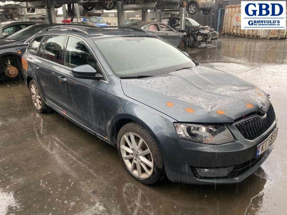 Škoda Octavia, 2013-2016 (Type III, Fase 1) (5Q0 959 802 B)