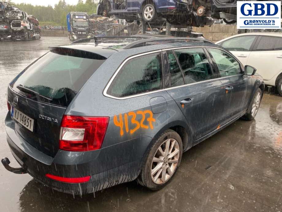 Škoda Octavia, 2013-2016 (Type III, Fase 1) (5Q0 959 802 B)