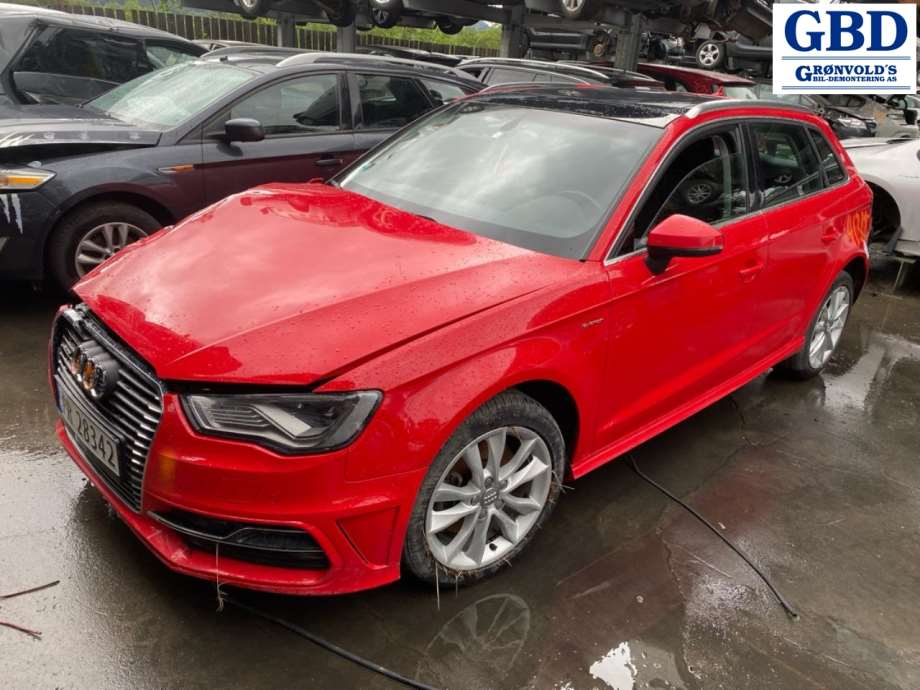 Audi A3, 2012-2016 (Type III, Fase 1) (8V0 615 124 D|8V0 615 124 A)