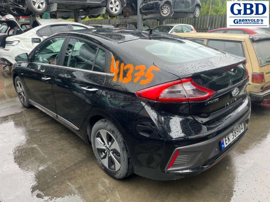 Hyundai Ioniq Electric, 2016-2019 (Fase 1) (66400G 2000)