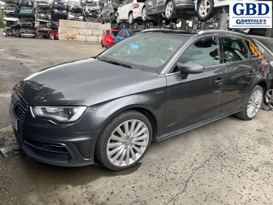 Audi A3, 2012-2016 (Type III, Fase 1) (8V0 807 065 G)