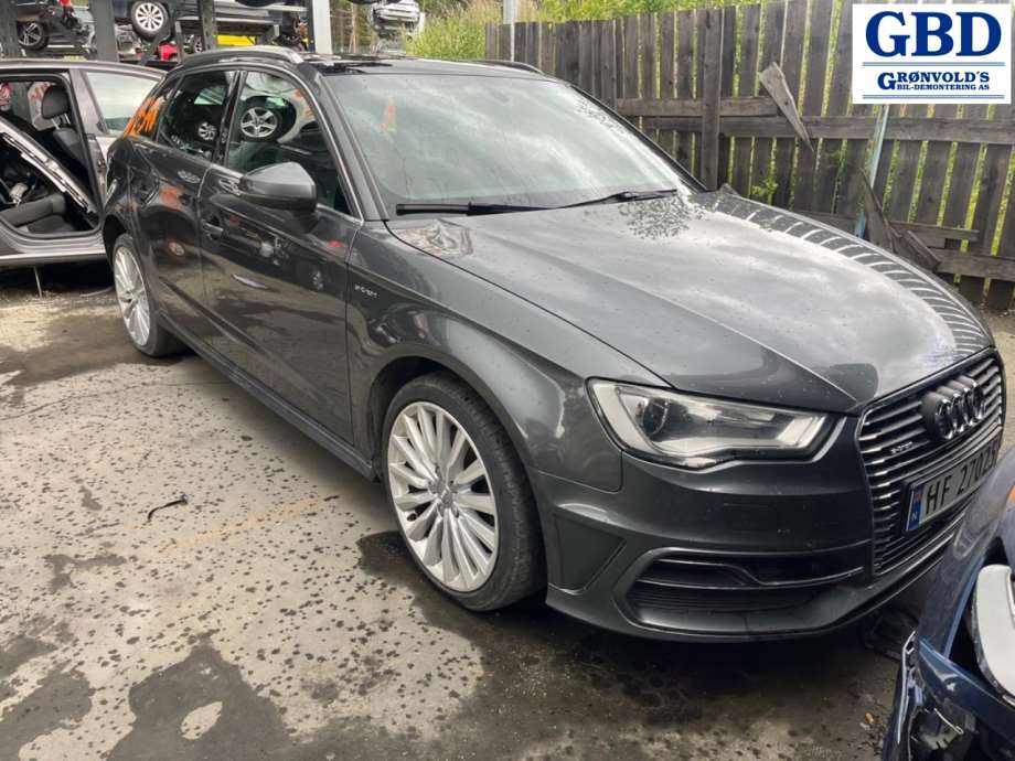 Audi A3, 2012-2016 (Type III, Fase 1)