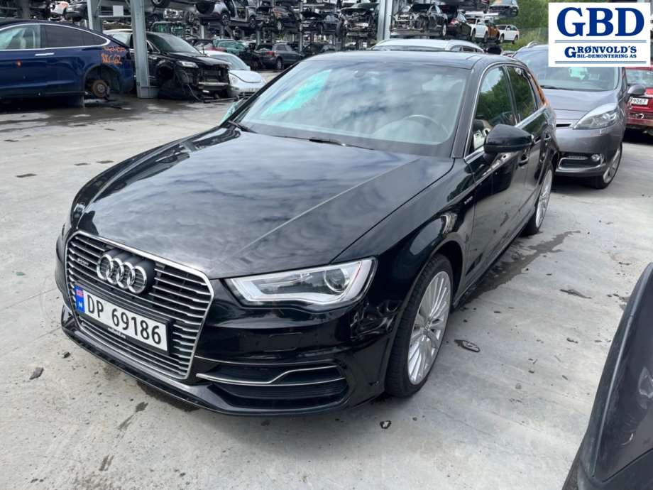 Audi A3, 2012-2016 (Type III, Fase 1) (8V4 827 025 D)