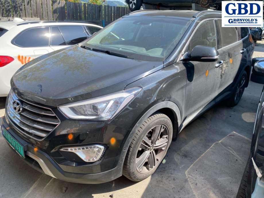 Hyundai Santa Fe, 2012-2020 (Type III) (D4HB|178F12FU 01)