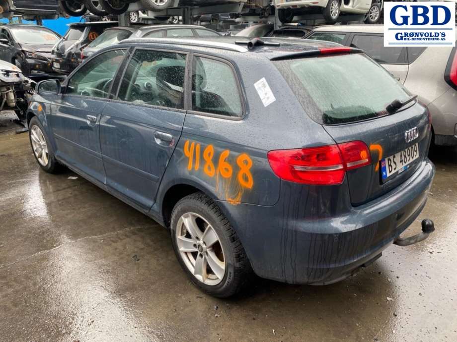 Audi A3, 2009-2012 (Type II, Fase 2)(|8P1 858 531 GB)