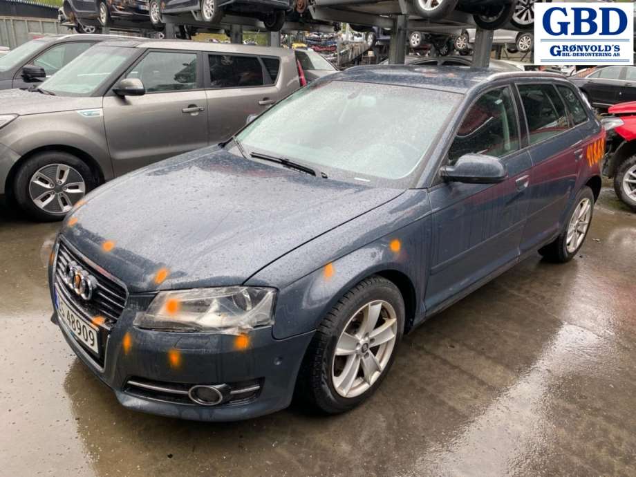 Audi A3, 2009-2012 (Type II, Fase 2) (03L 128 0630)