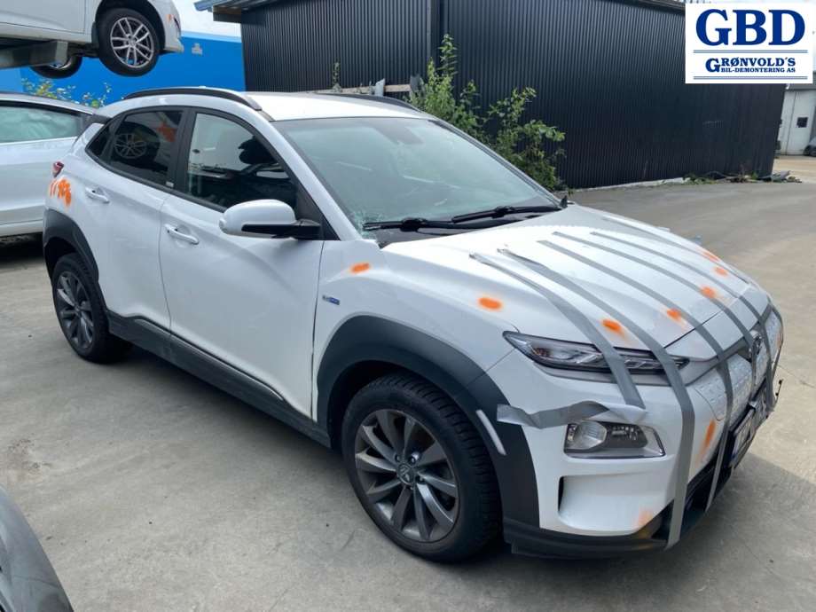 Hyundai Kona, 2017-2021 (Type I, Fase 1)(|4450018EA0)