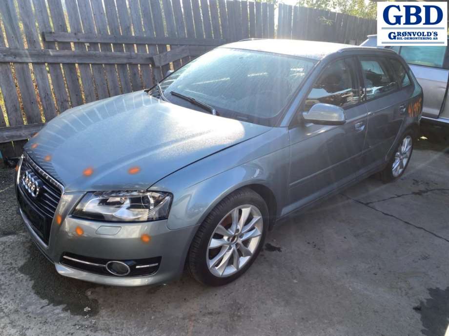 Audi A3, 2009-2012 (Type II, Fase 2)(|8P0 821 105 G)