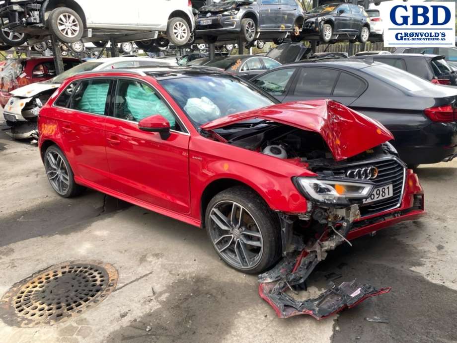 Audi A3, 2016-2020 (Type III, Fase 2) (8V1 955 023 D|8V1 955 119 A)