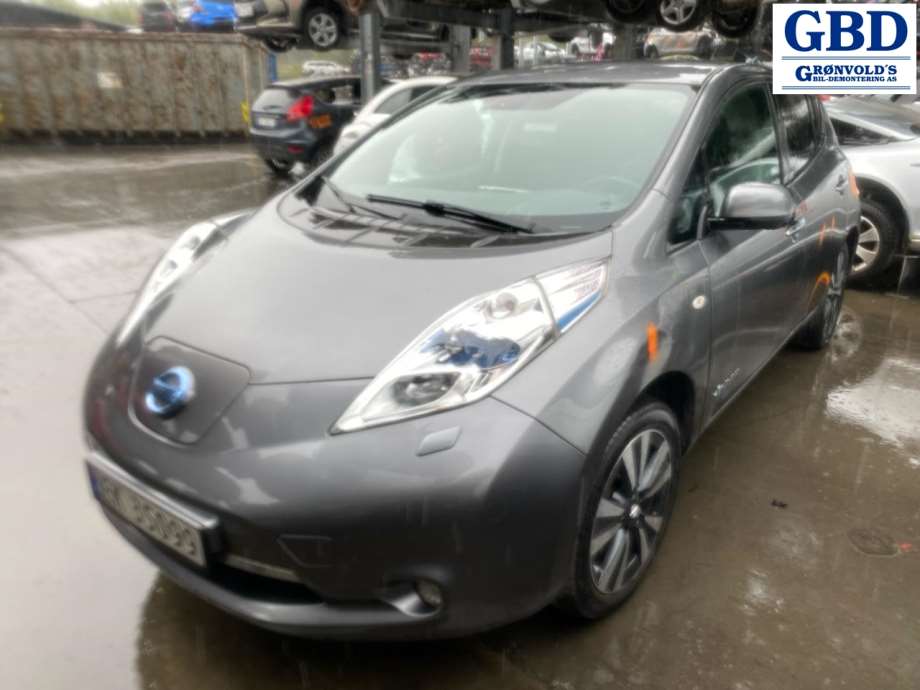 Nissan Leaf, 2011-2017 (Type I)(|H01003NLAA)