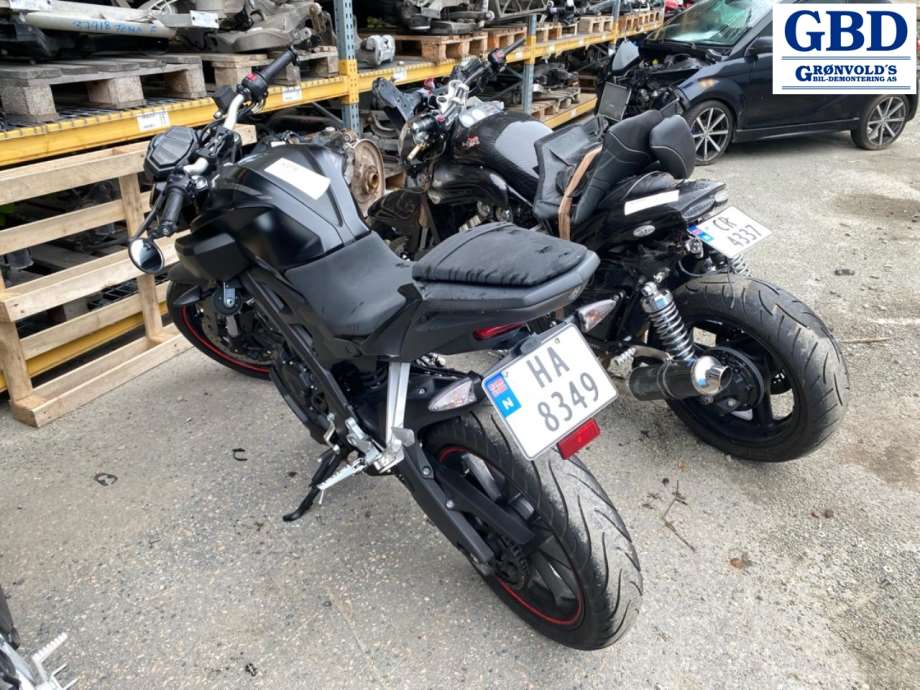 MC Yamaha MT-125, 2014-2019