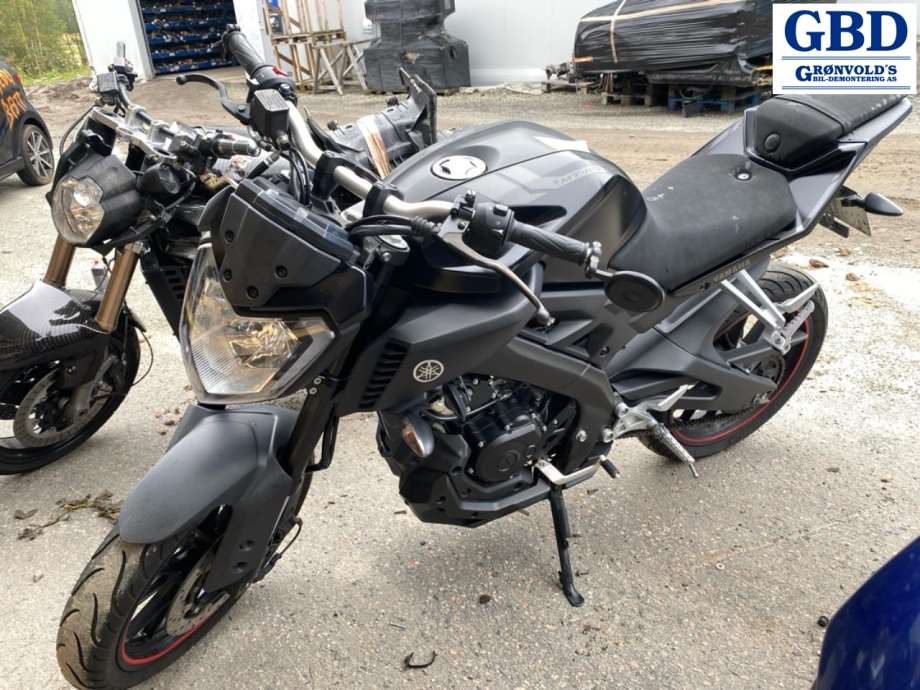 MC Yamaha MT-125, 2014-2019