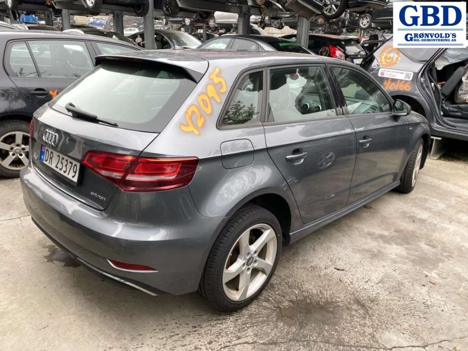 Audi A3, 2016-2020 (Type III, Fase 2) (8V4 827 025 D)