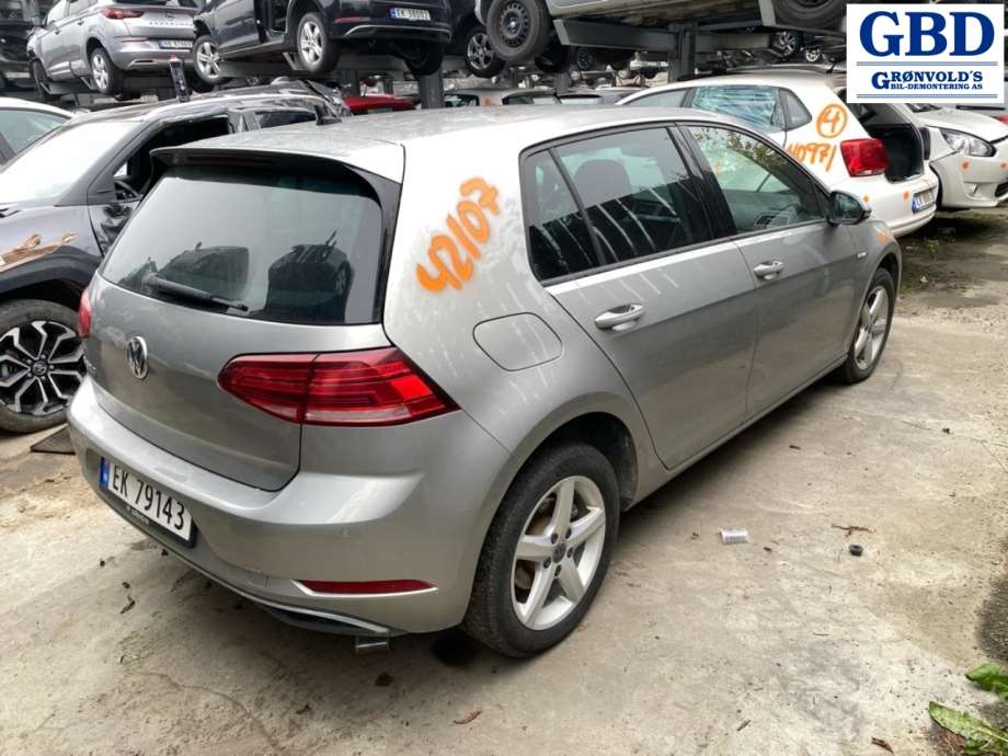 VW e-Golf, 2017-2020 (Fase 2) (5G4 833 056 AD|5G4 833 056 AC)