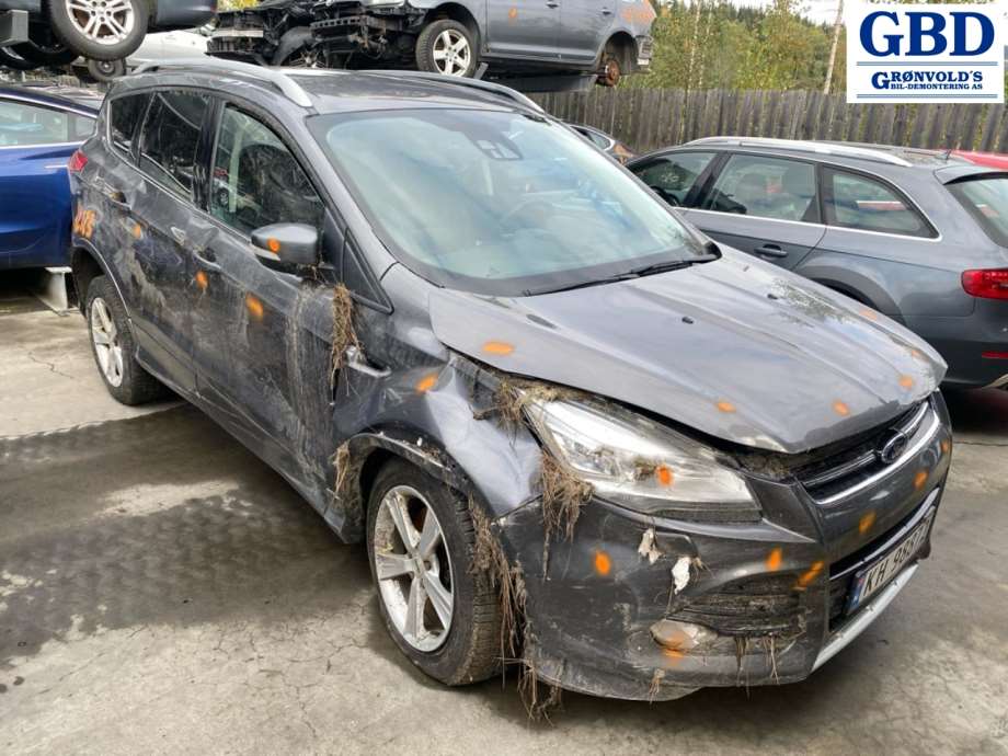 Ford Kuga, 2013-2019 (Type II) (2351159| 1824922|BV61-2B302-AC)