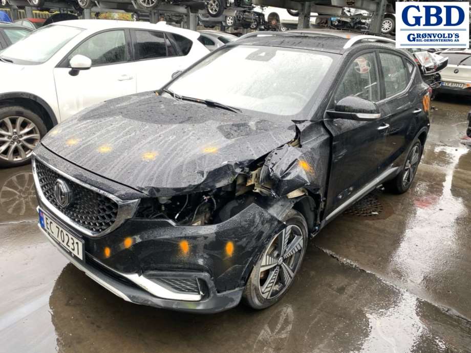 MG ZS EV, 2019- (10604703-SPRP)