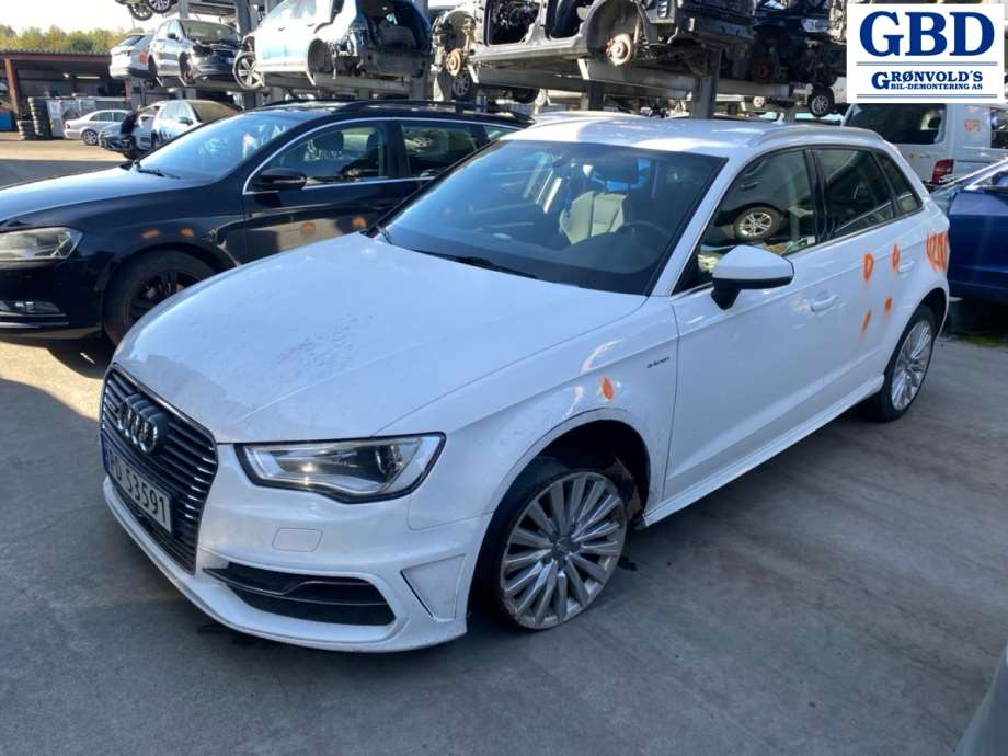 Audi A3, 2016-2020 (Type III, Fase 2) (04E 145 721 G)