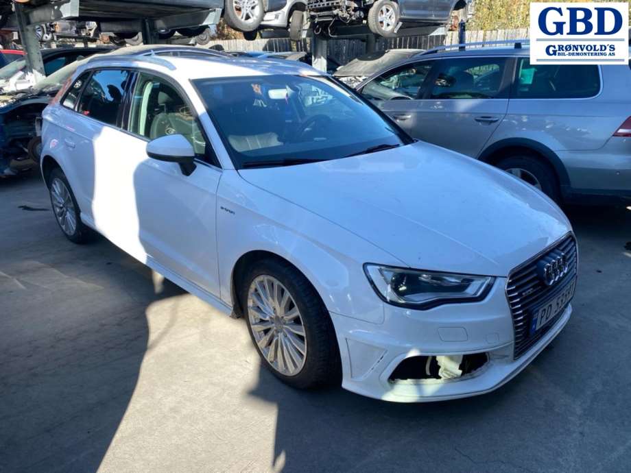 Audi A3, 2016-2020 (Type III, Fase 2)