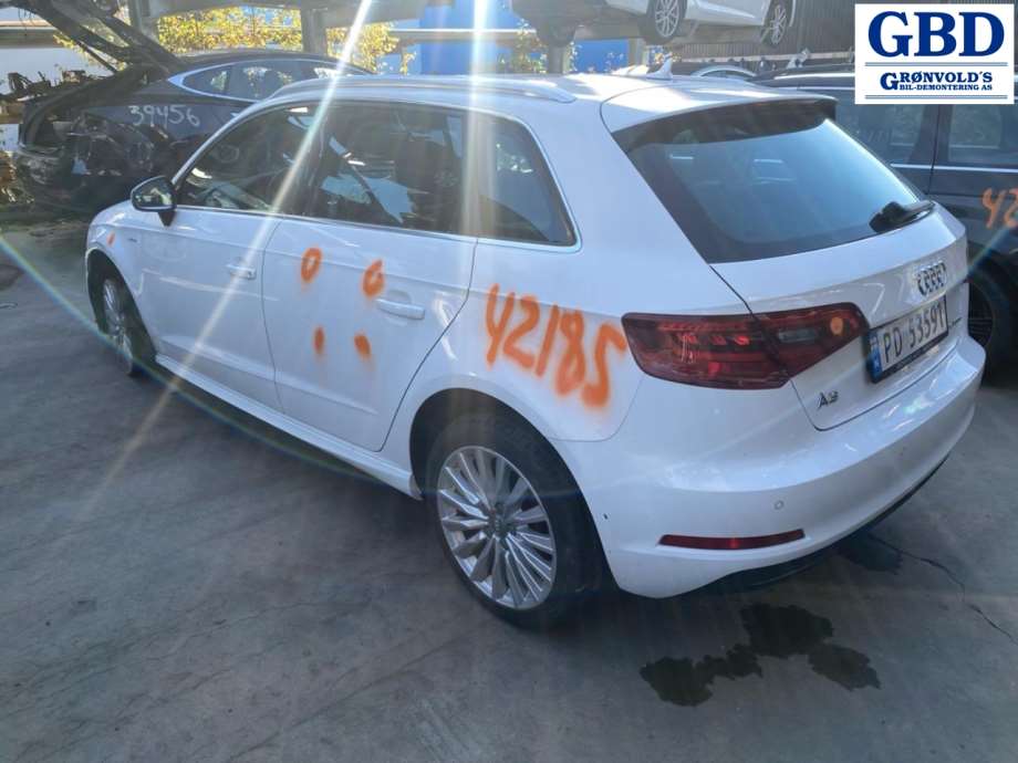 Audi A3, 2016-2020 (Type III, Fase 2) (8V4 945 096 D)