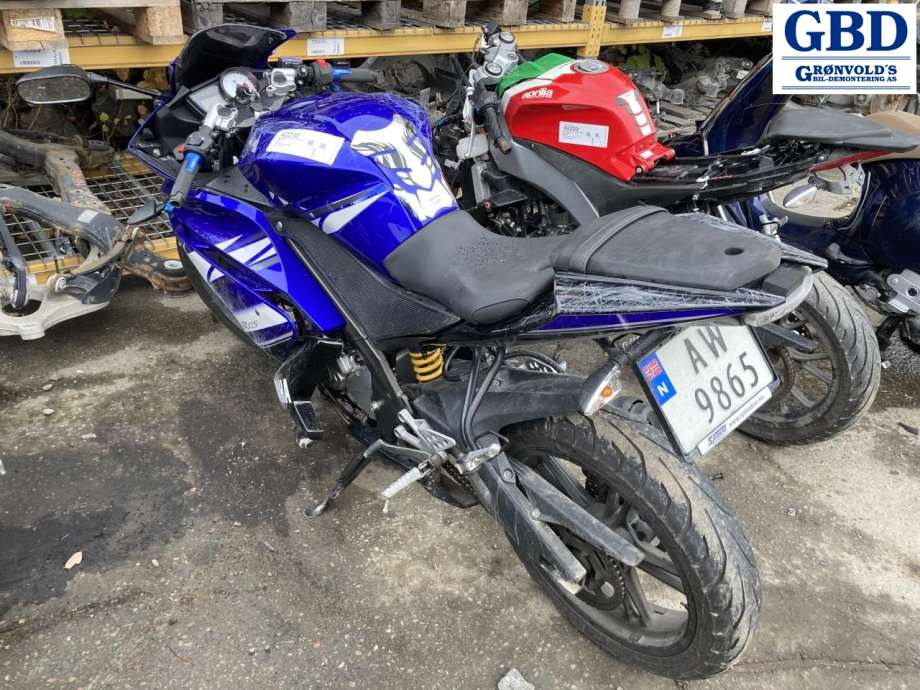 MC Yamaha YZF-R125, 2008-2013