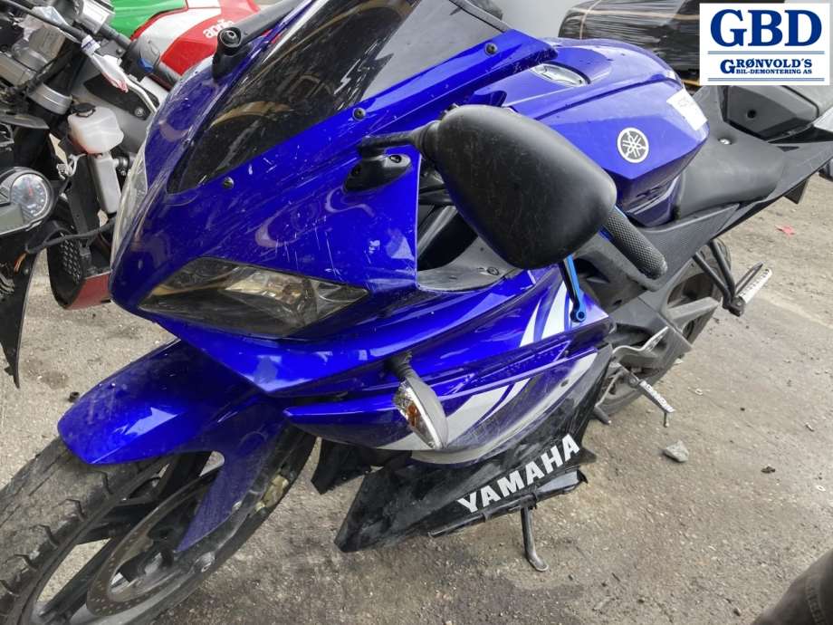 MC Yamaha YZF-R125, 2008-2013