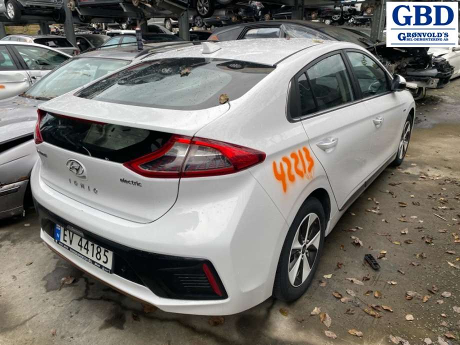 Hyundai Ioniq Electric, 2016-2019 (Fase 1) (66311G 2000)