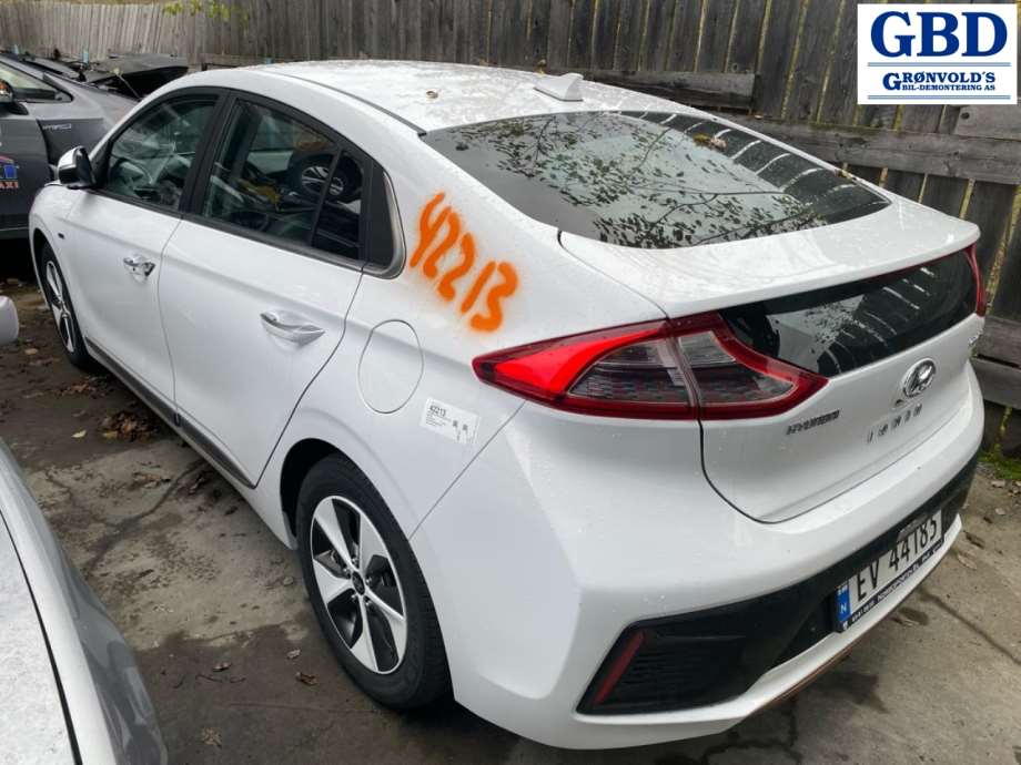 Hyundai Ioniq Electric, 2016-2019 (Fase 1) (66311G 2000)