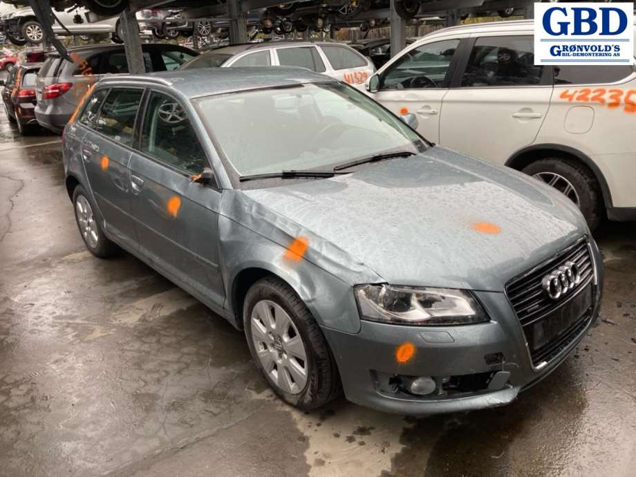 Audi A3, 2009-2012 (Type II, Fase 2) (03L 253 010 G|03L 253 010 GX)