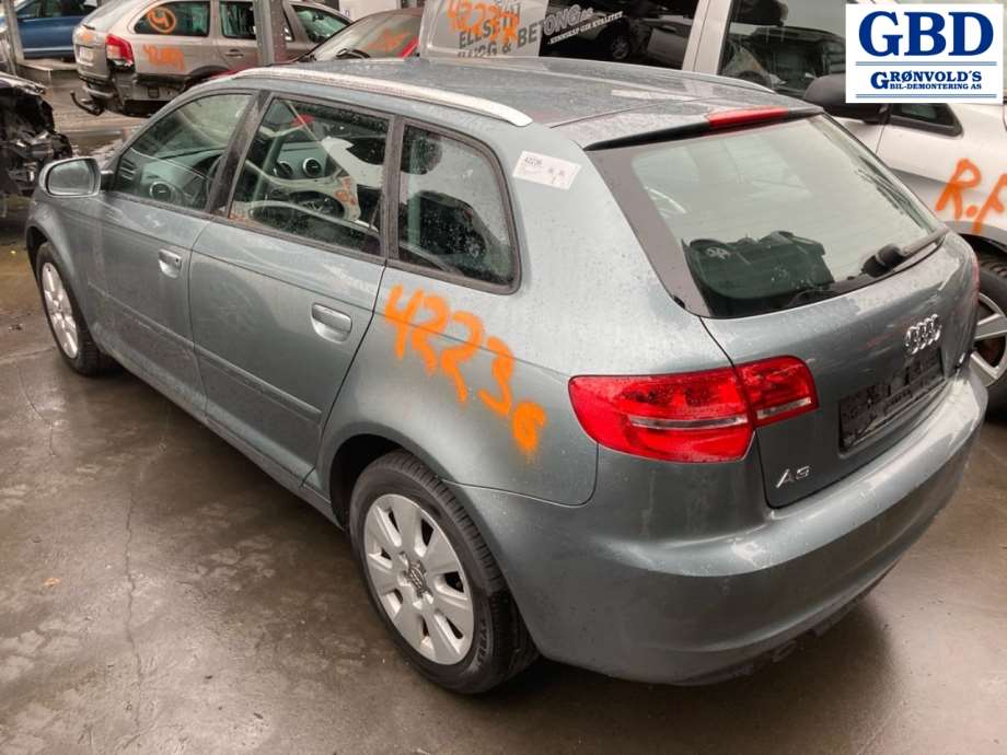 Audi A3, 2009-2012 (Type II, Fase 2) (03L 253 010 G|03L 253 010 GX)