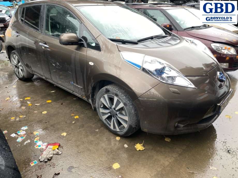 Nissan Leaf, 2011-2017 (Type I) (H21533NLMA)