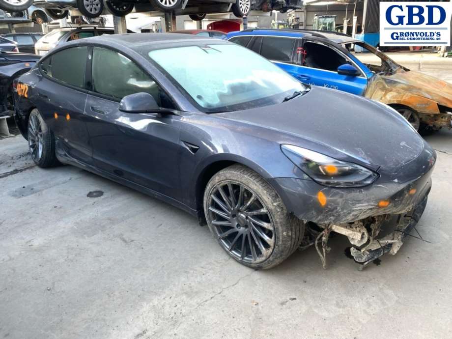 Tesla Model 3, 2018-2023 (Fase 1) (1077402-00-G)