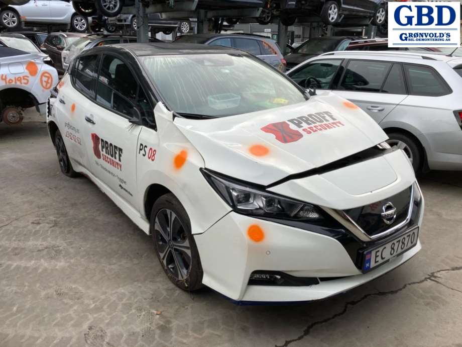 Nissan Leaf, 2018- (Type II) (H01005SLAA)