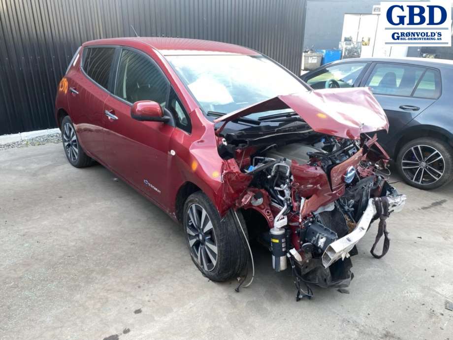 Nissan Leaf, 2011-2017 (Type I) (H01003NLAA|H01003NLMA)