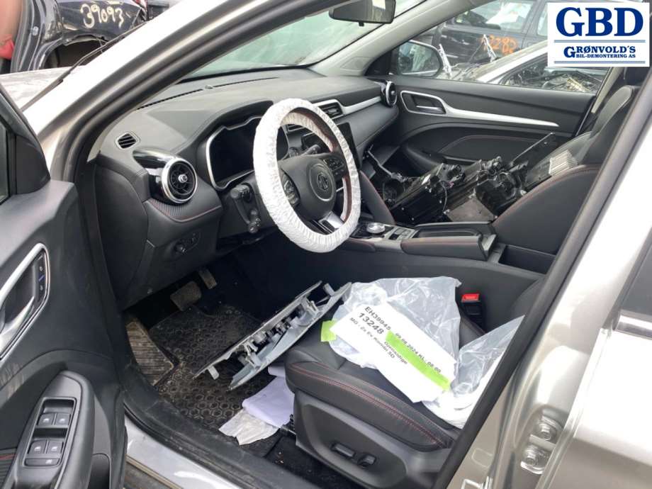 MG ZS EV, 2019- (11134556-SPRP)