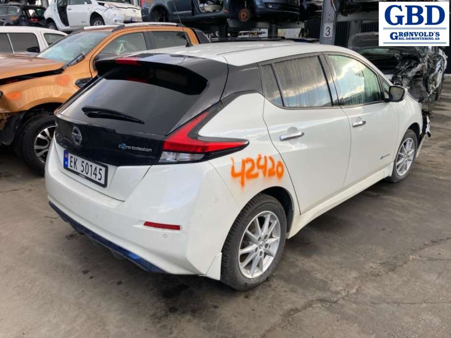 Nissan Leaf, 2018- (Type II) (H01005SLMA)