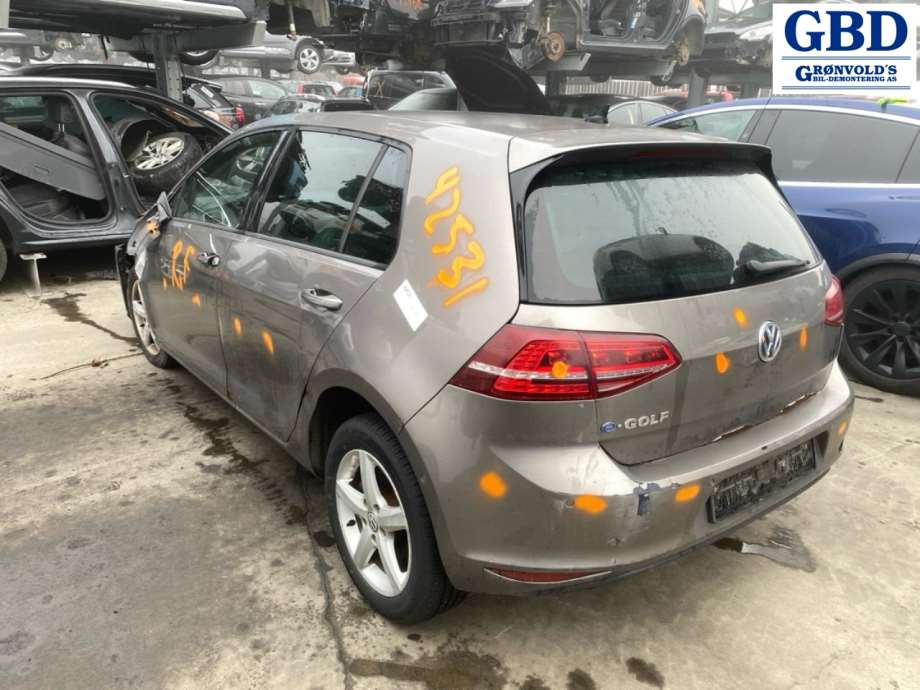 VW e-Golf, 2014-2017 (Fase 1) (5GE 941 056 B)