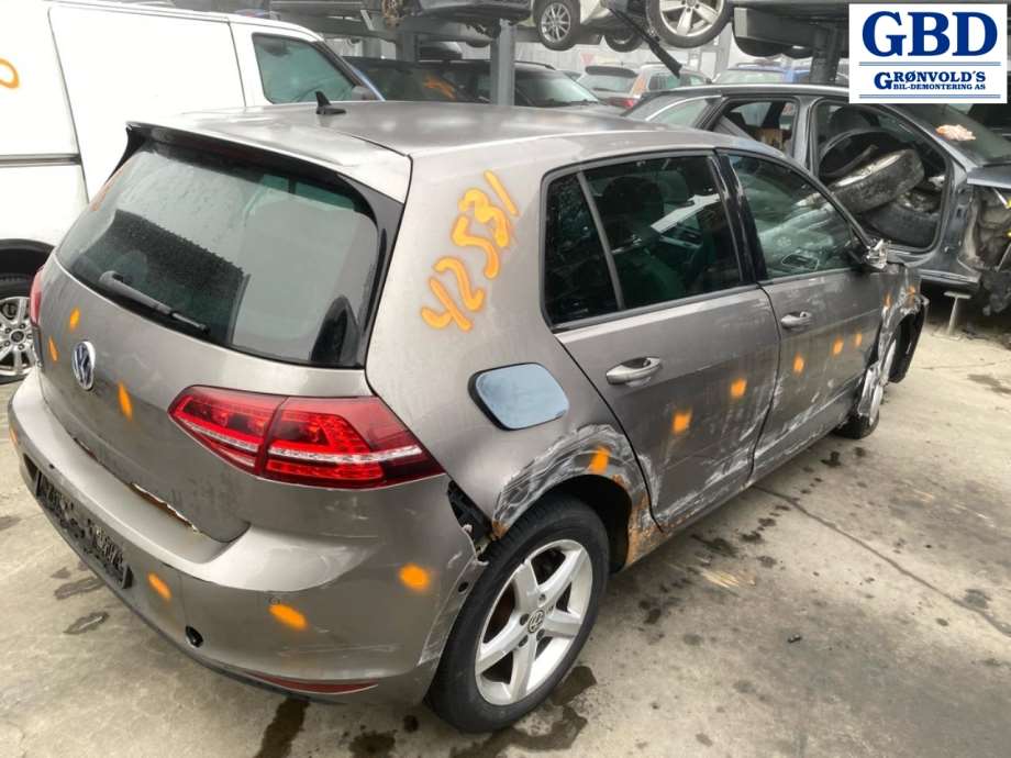 VW e-Golf, 2014-2017 (Fase 1) (5G0 945 307 F)